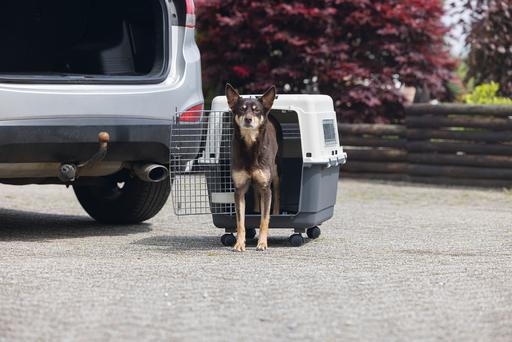 Actual product image Karlie Nomad transport box (Dog, Cat, Lockable)