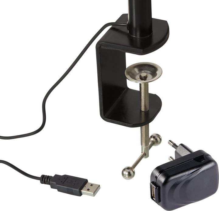 Image du produit micasa Ivo (250 lm)