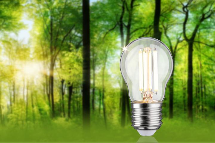 Actual product image Paulmann Tropfen Eco-Line (E27, 2.50 W, 525 lm, 1 x, A)