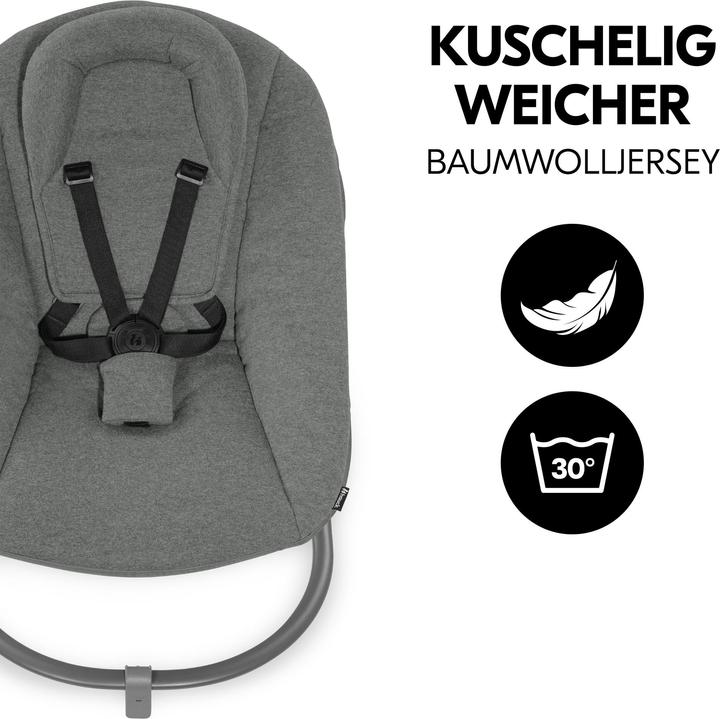 Actual product image Hauck Alpha Bouncer