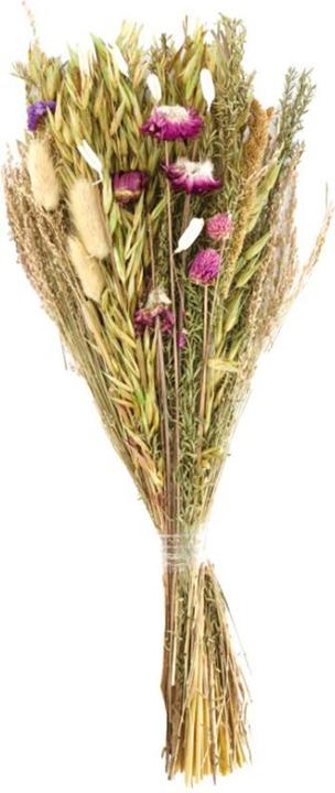 Image du produit Dijk Bouquet de fleurs séchées (Fleurs séchées)