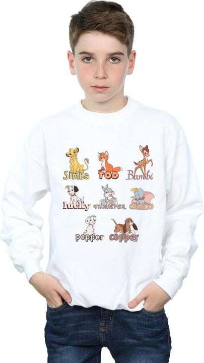 Image du produit Disney - Sweat LITTLE FRIENDS ANIMALS - Garçon (140, 146)