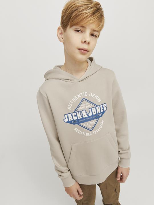 Produktbild Jack & Jones JJELOGO SWEAT HOOD 2 COL 24/25 NOOS JNR (128)