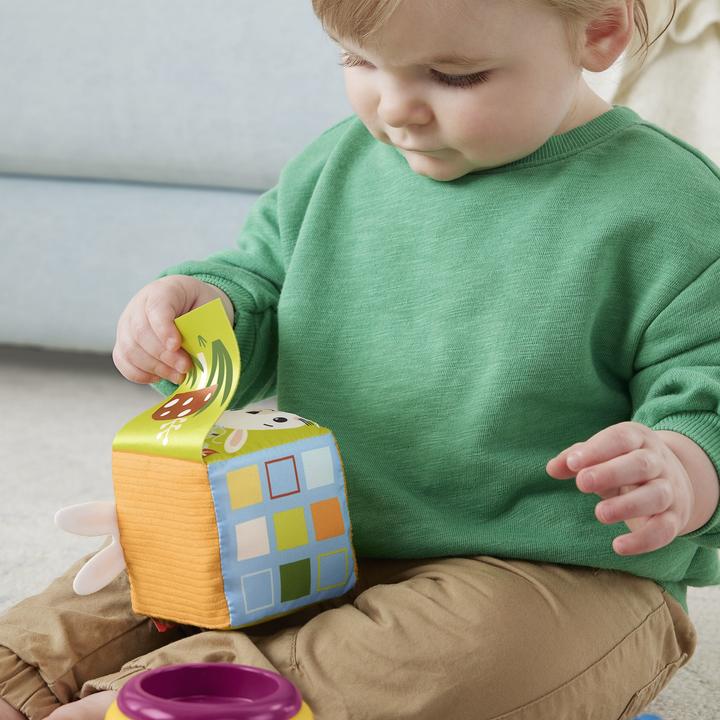 Image du produit Fisher-Price Jouets pour bébé Busy Activity Blocs sensoriels