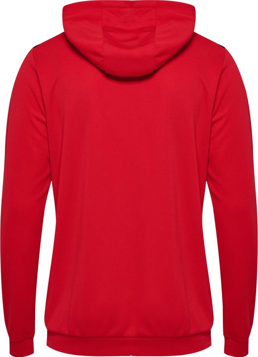 Actual product image hummel Hmlauthentic Pl Hoodie (XS)