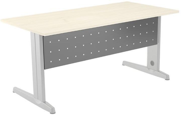Rocada Modesty screen grey 120.0 x 30.0 cm