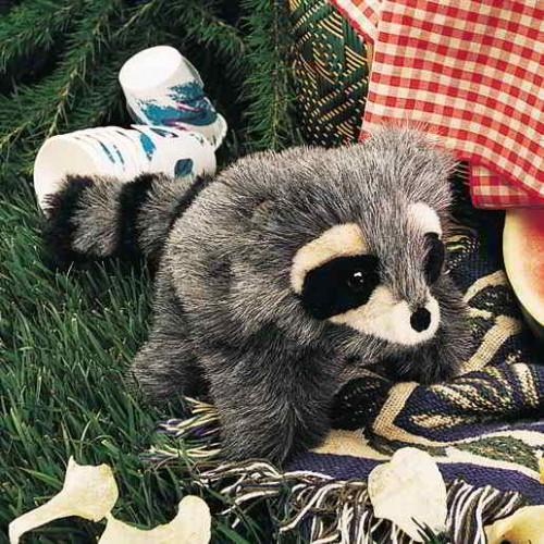 Actual product image Folkmanis Little raccoon