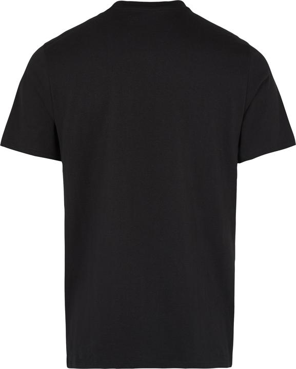 Actual product image O'Neill Small Logo T-Shirt (M)