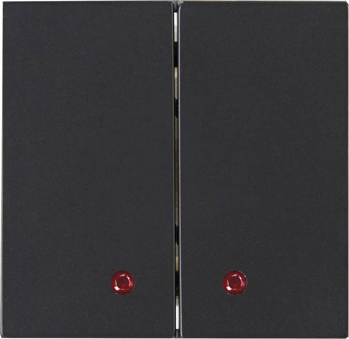 Produktbild Kopp HK07 Flächendoppelwippe mit Linse, passend für den Hybrid-Smart-Switch, IP20