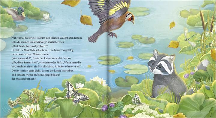Produktbild Kopf hoch, kleiner Waschbär – ein Bilderbuch für Kinder ab 2 Jahren (Deutsch, Lea Kässmann, 2021)