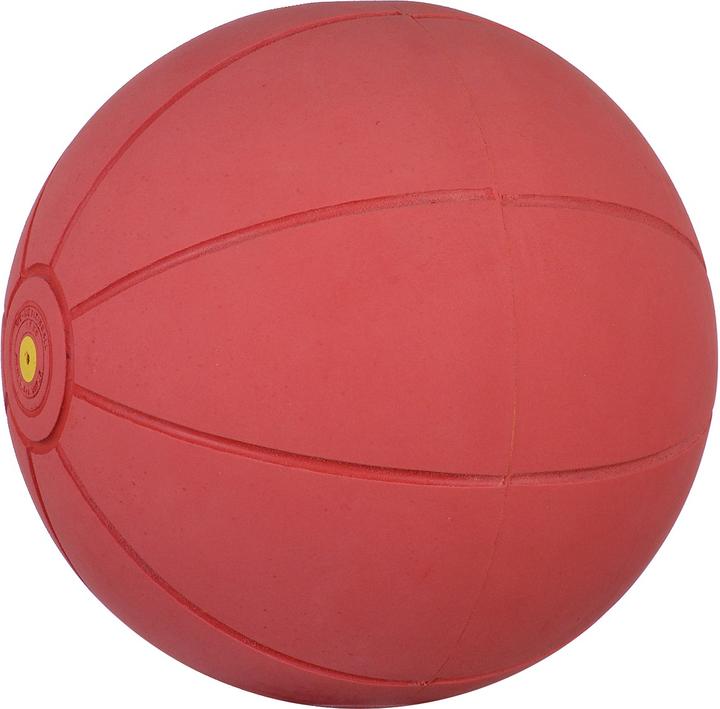 Immagine prodotto WV Ball Palla medica (1.50 kg, 220 mm)
