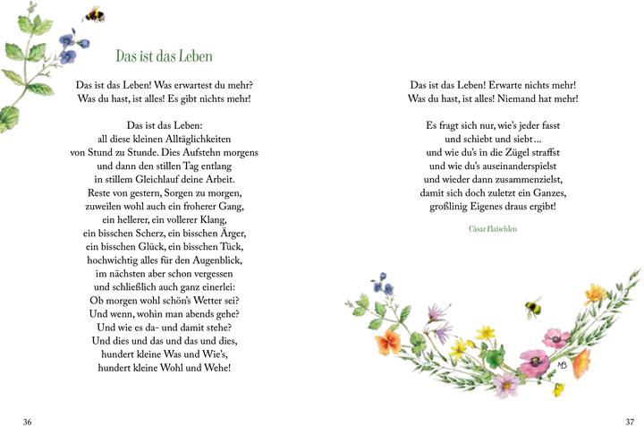 Produktbild Sonnenschein, Freiheit und eine kleine Blume braucht man (Deutsch, Kristina Schaefer, Marjolein Bastin, 2024)