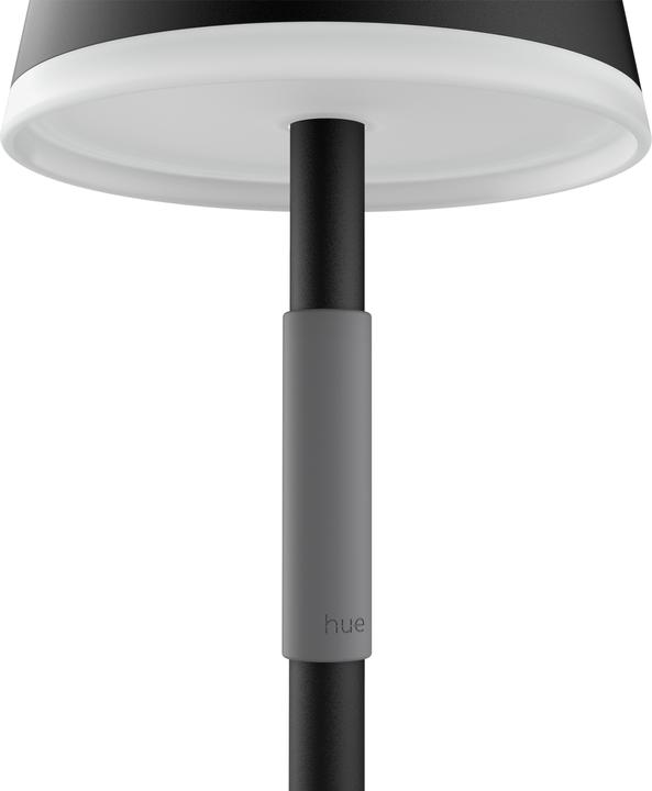 Productafbeelding Philips Hue Hue Go (370 lm)