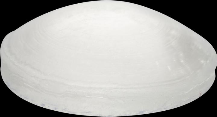 Produktbild Schutzpuffer ø 10 mm 24 Stk. (24 Stück)