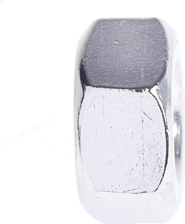 Actual product image Rs Pro Hexagon nuts stainless M12 (M12)