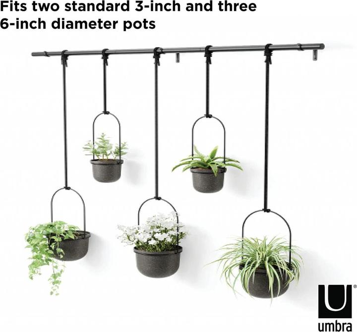 Actual product image Umbra Triflora (137 cm)