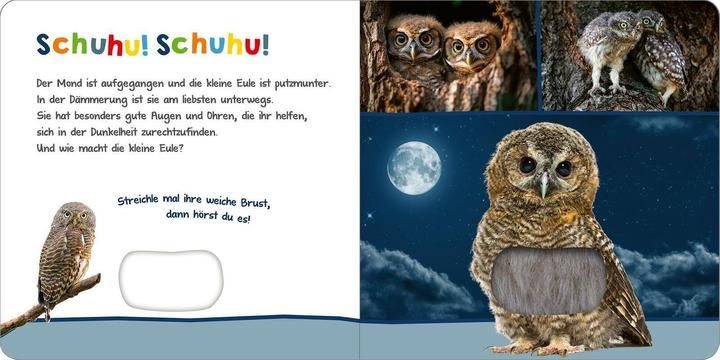 Image du produit Hör mal rein, wer kann das sein? - Tiere in der Nacht (Allemand)