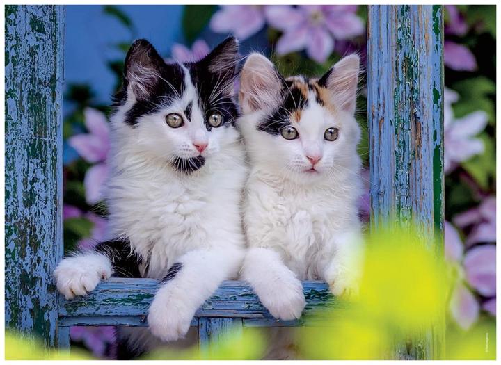 Immagine prodotto Ravensburger Piccoli gatti (1000 pezzi)