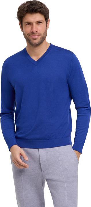 Falke Herren (L)