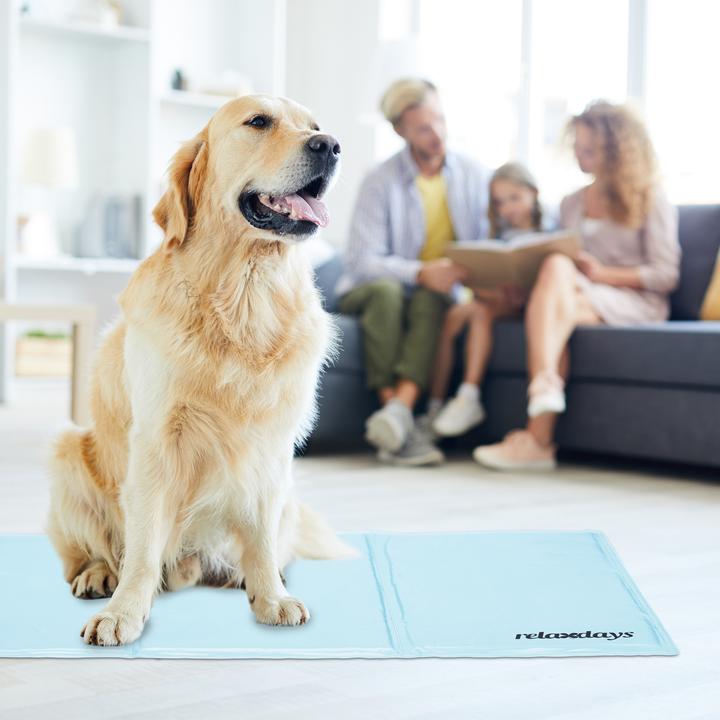 Immagine prodotto Relaxdays Tappeto di raffreddamento per cani (Cane)