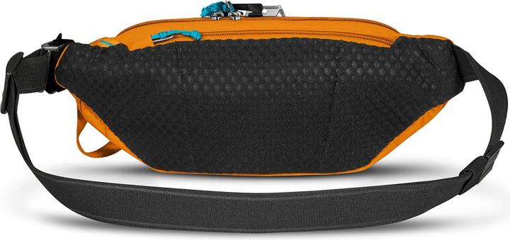 Actual product image Pacsafe Eco anti-theft waist pack