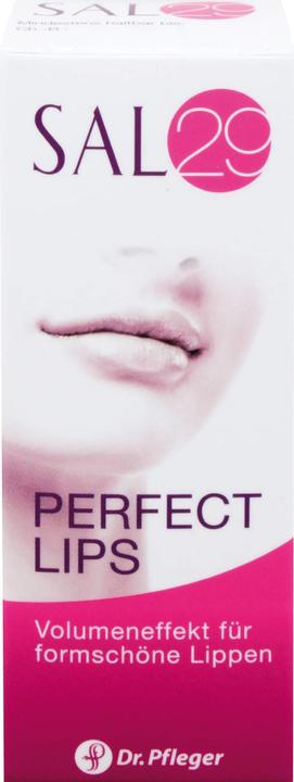 Actual product image Dr. Pfleger SAL29 Perfect Lips Lip Care, 4 g Cream