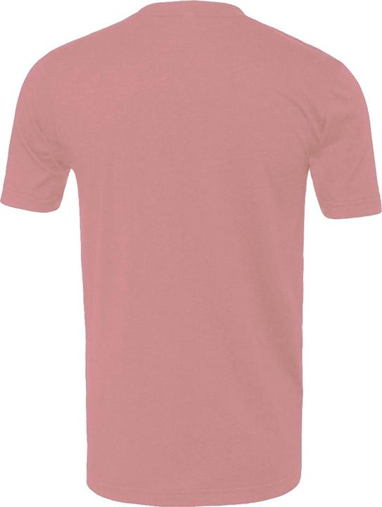 Actual product image Bella Canvas Tshirt adults (XS)