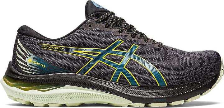 ASICS Performance GT-2000 11 GTX (44)