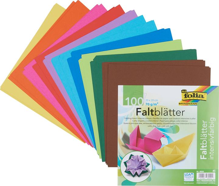 Immagine prodotto Folia Volantini intensivi (70 g/m², 100 x)