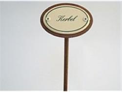 Plume d'épice cerfeuil (25 cm)