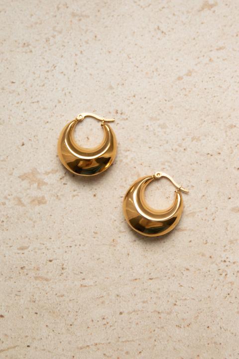 Actual product image Tara Style Bottega Hoop - hoop earrings (waterproof) (18k gold-plated stainless steel, 100% waterproof)