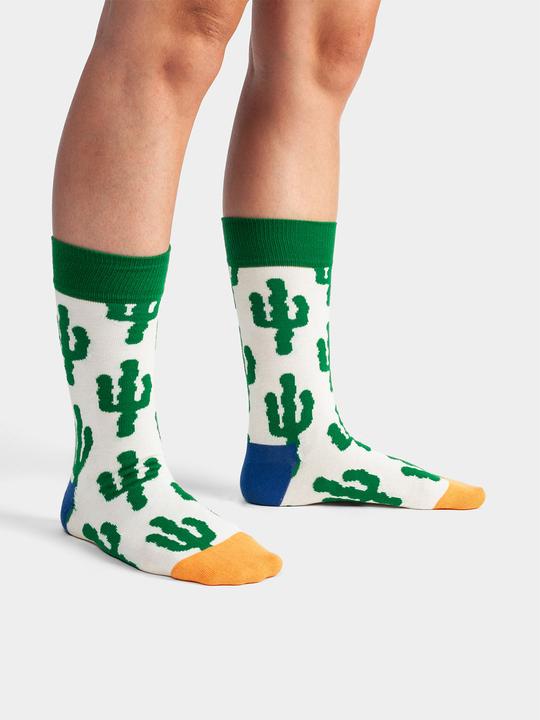 Immagine prodotto DillySocks Piante del deserto (Confezione singola, 36 - 40)
