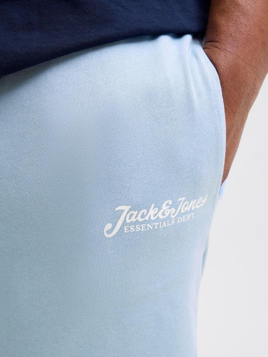 Produktbild Jack & Jones Plus Size Regular Fit Regular Fit Shorts Regular Fit Shorts (44)