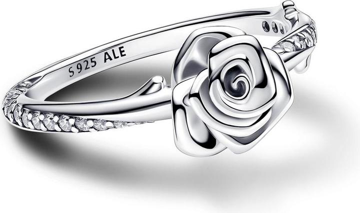Actual product image Pandora Rose (60, 925 Silver)