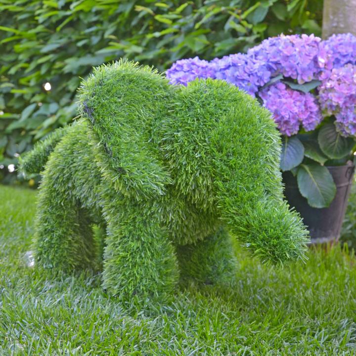 Immagine prodotto Kögler AniPlants, figura di erba, "elefante" in piedi, gi (1 x)