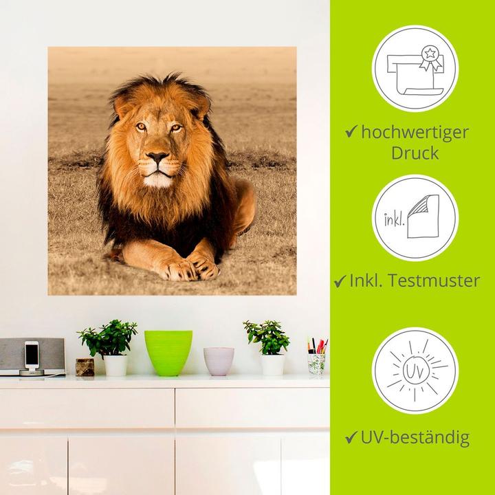 Produktbild Artland Löwe T5RJ (50x50 cm)