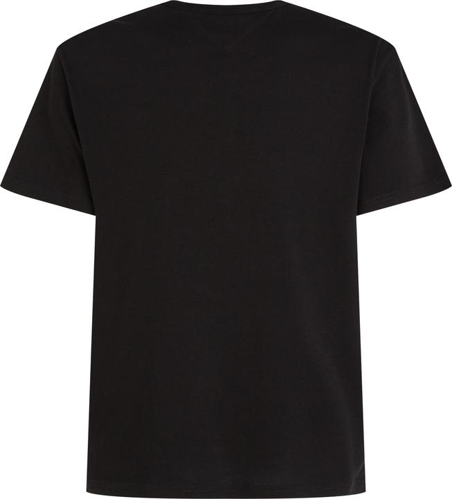 Actual product image Tommy Jeans Tjm Reg Badge Tee Ext (M)