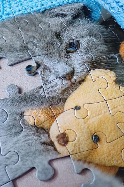 Image du produit Selecta Spielzeug Puzzle Gentil chaton et chien endormi, 100 pièces. (100 pièces)