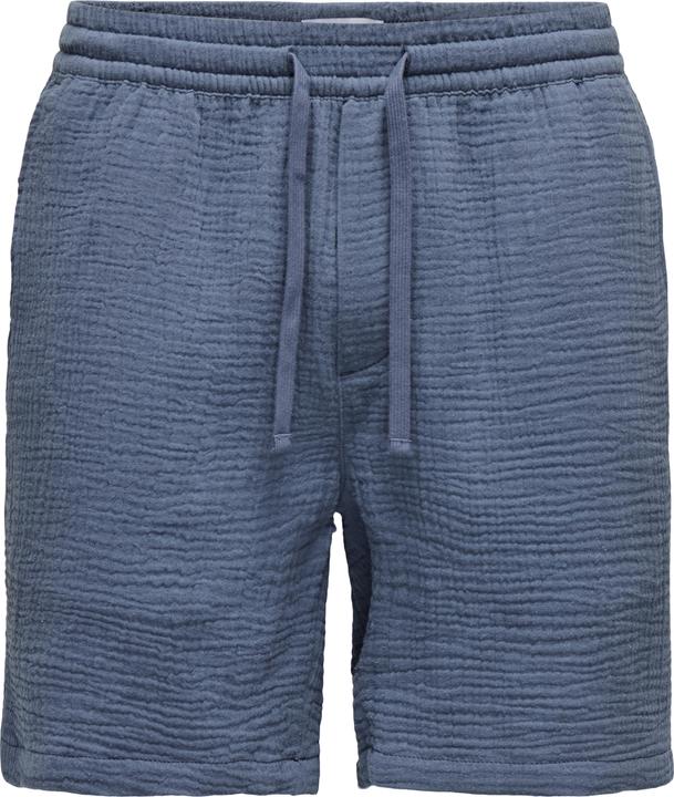 Only & Sons ONSTEL-PAS Normal geschnitten Shorts Shorts