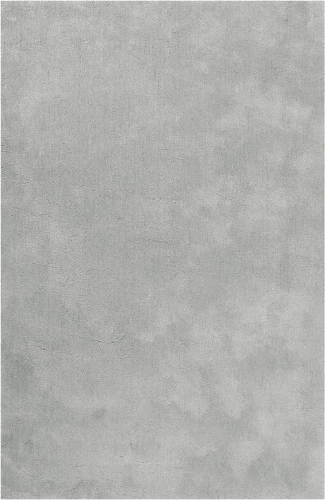 Gris clair