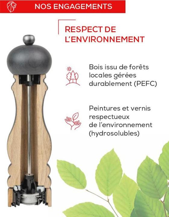 Actual product image Peugeot Salt mill PARIS NATURE black (Salt)