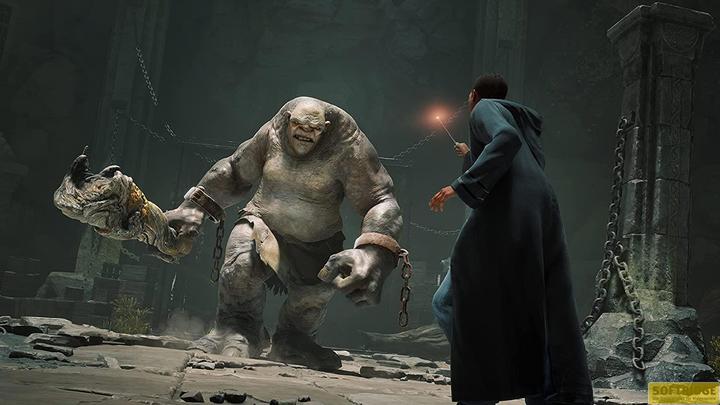Actual product image WB Hogwarts Legacy (PS4, DE)