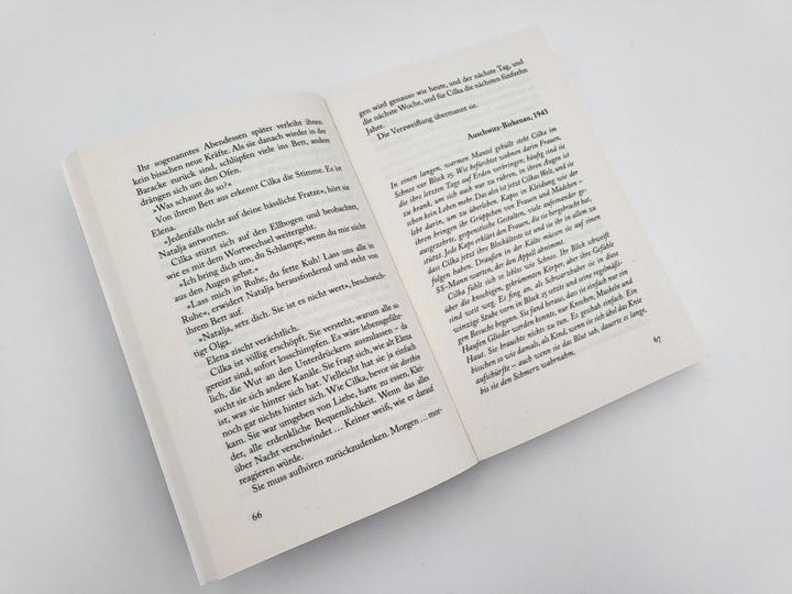 Produktbild Das Mädchen aus dem Lager – Der lange Weg der Cecilia Klein (Deutsch, Heather Morris, Elsbeth Ranke, 2022)