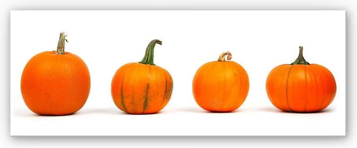 Image du produit Trenddeko Variétés de citrouilles - Panorama (80 x 30 cm)