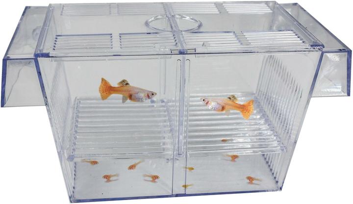 Image du produit SuperFish Bassin d'élevage flottant (Nettoyage de l'aquarium)