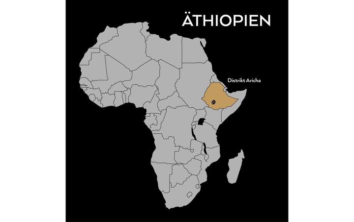 Image du produit Turm Kaffee Bio&Fair Ethiopia Sidamo (250 g, Torréfaction moyenne)