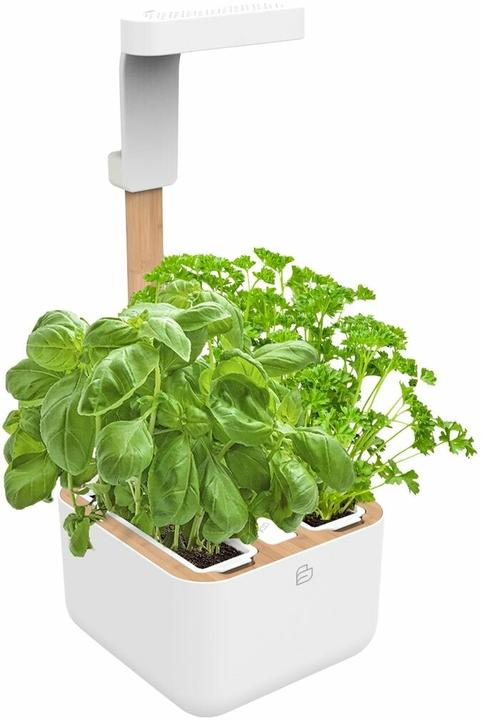 Produktbild Véritable Botaneo Eylo (18.40 cm)