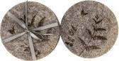 Immagine prodotto IKO Filz-Untersetzer grau "Blumenwiese" rund d=11cm, S (6 x, Sottobicchiere in vetro)