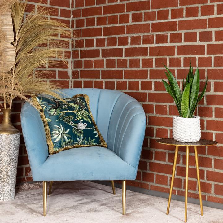 Actual product image Flowerbox Curved hemp - Sansevieria zeylanica (45 cm)