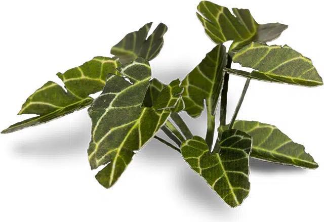 Produktbild Gamers Grass Laser Plants - Elephant Ear
